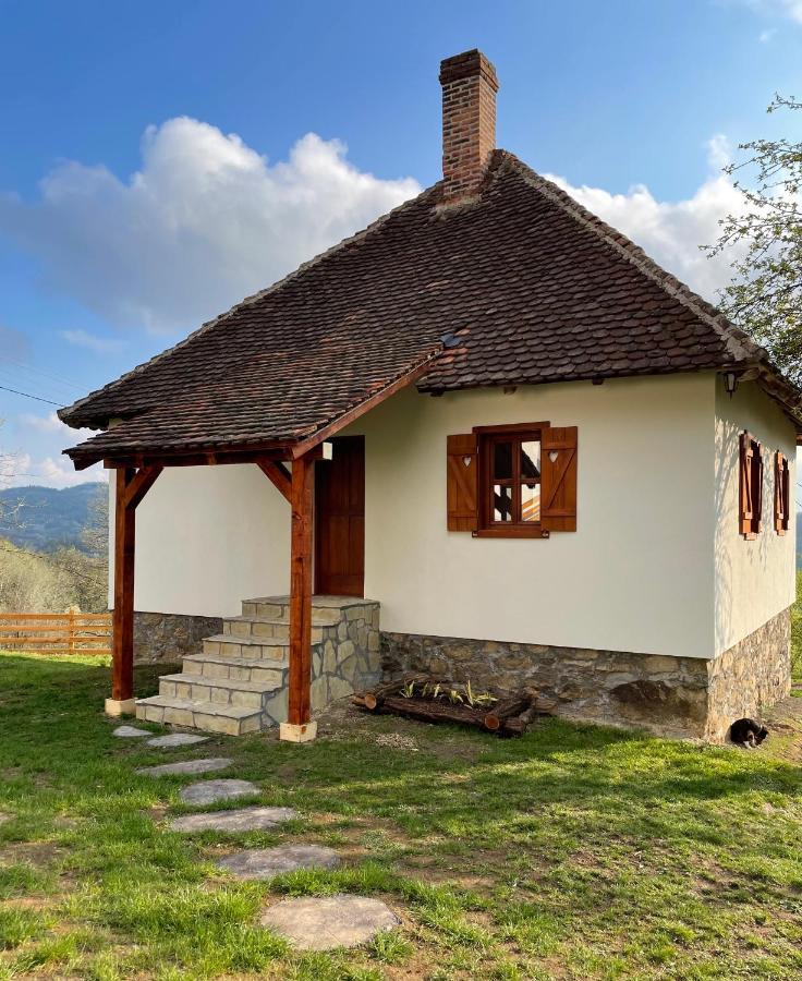 Villa Rudnicki Eko Breg Rudnik Exterior foto