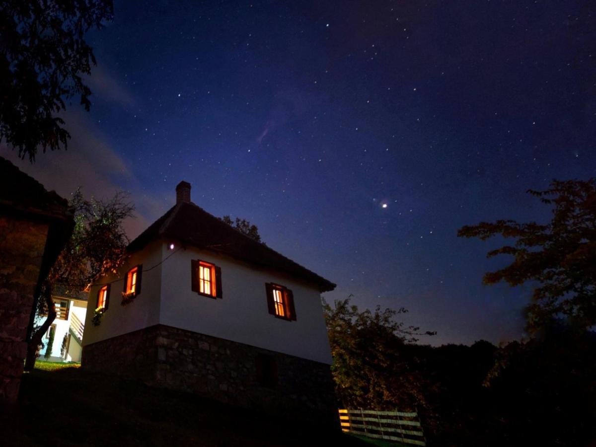 Villa Rudnicki Eko Breg Rudnik Exterior foto
