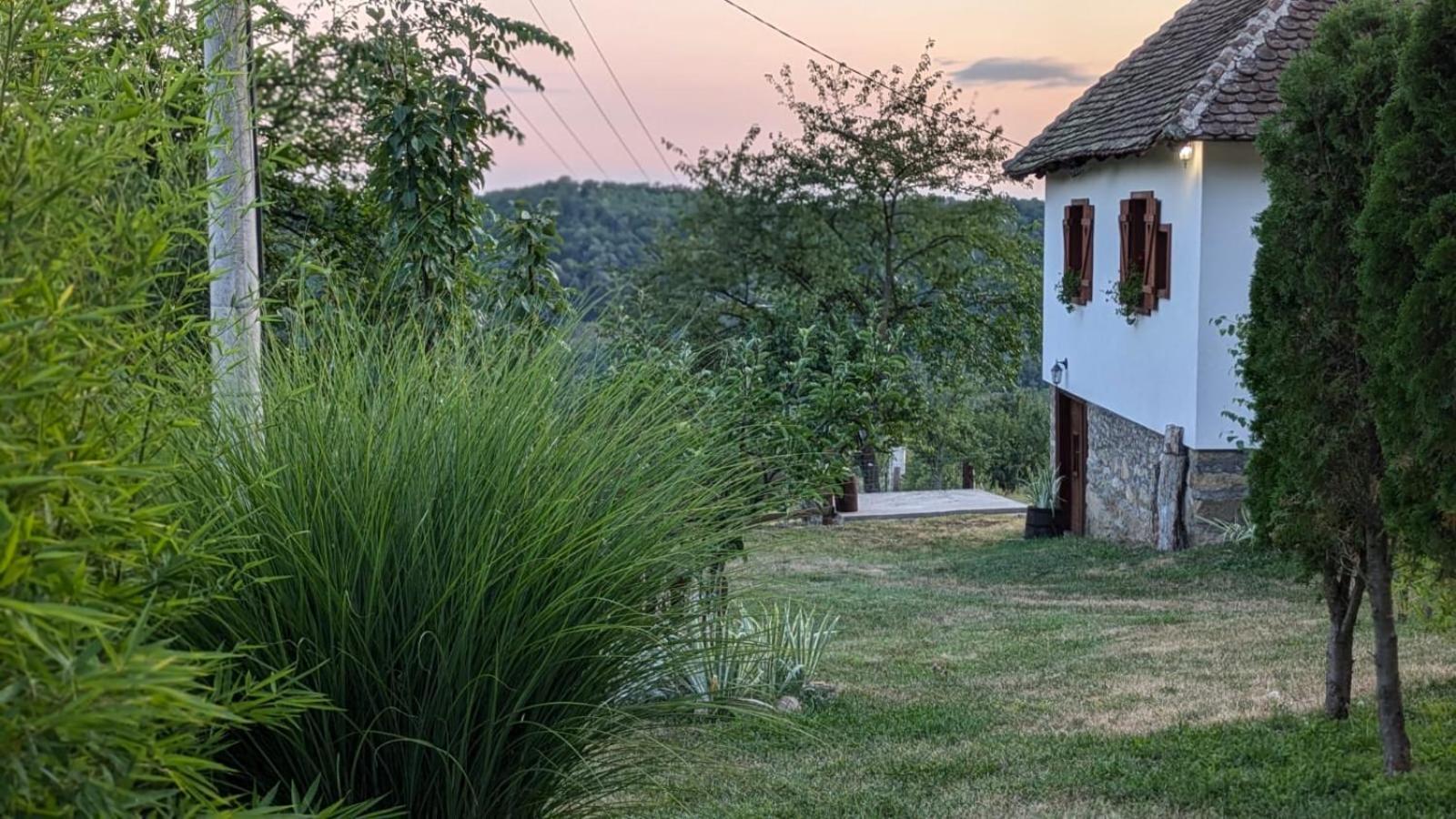 Villa Rudnicki Eko Breg Rudnik Exterior foto
