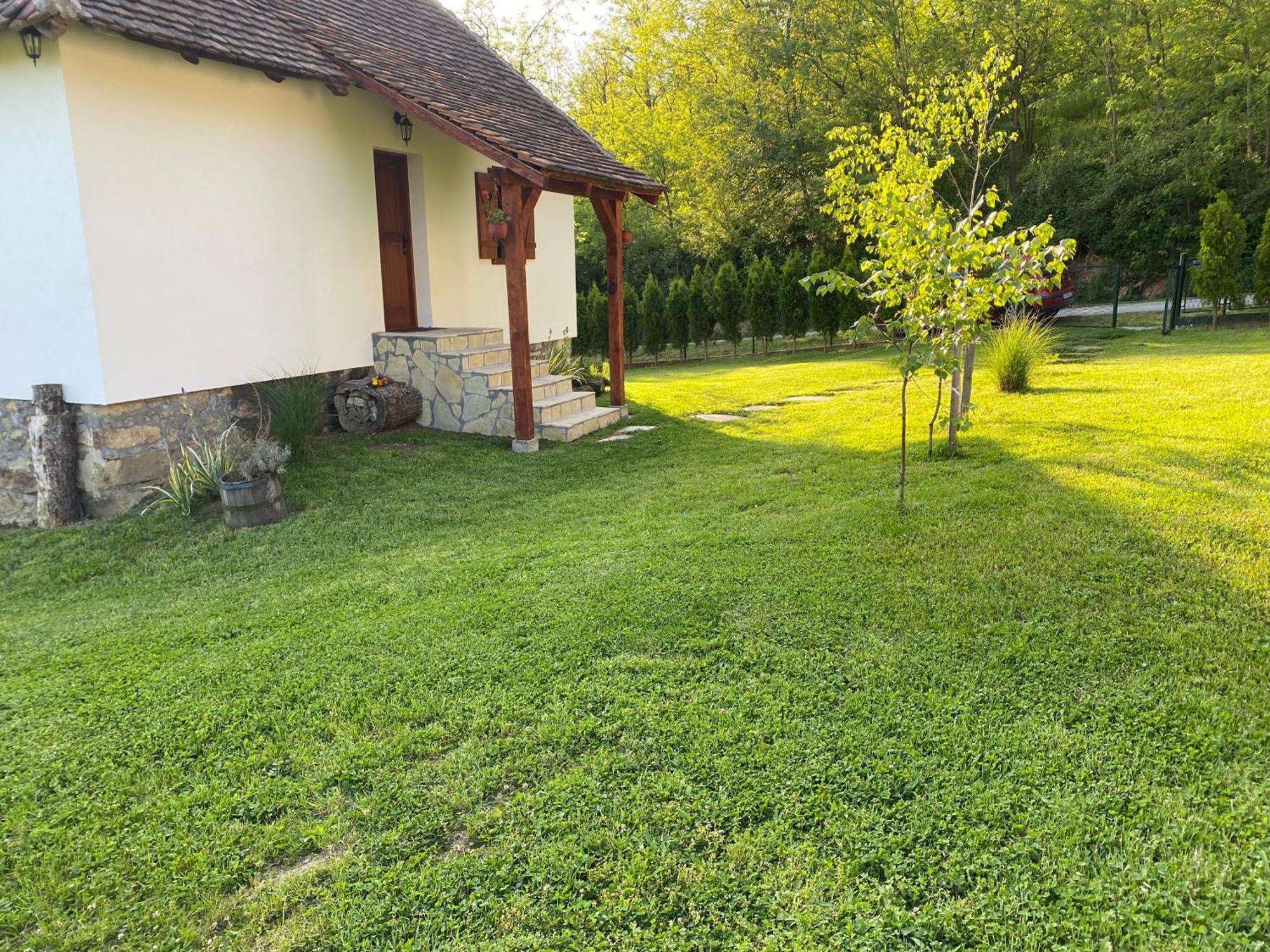 Villa Rudnicki Eko Breg Rudnik Exterior foto